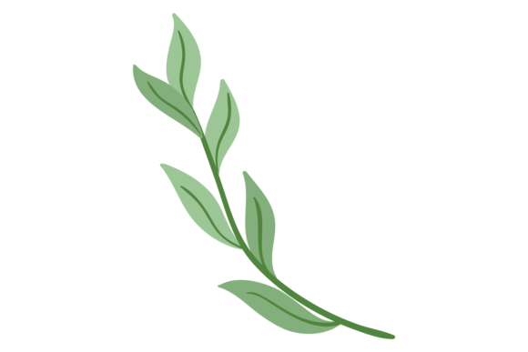 Green Branch: A Decorative Botanical Element for Natural Design