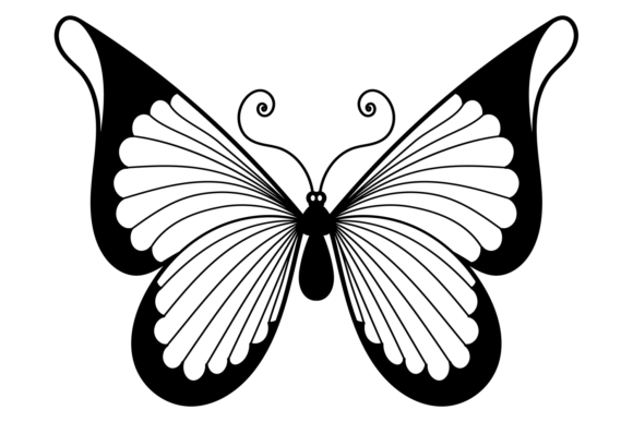 Ornate Elegance: The Butterfly Black Decorative Element