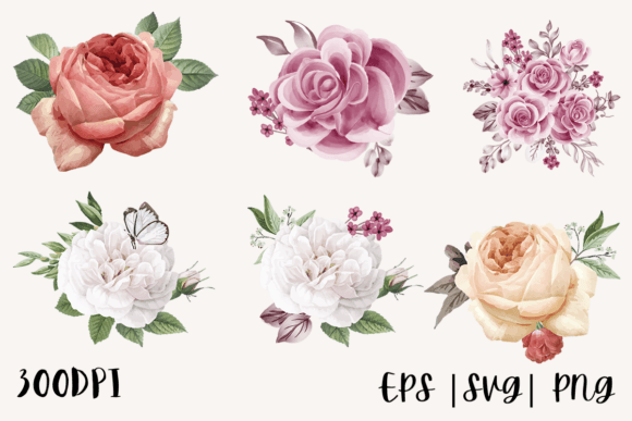Stunning Decorative Watercolor Roses PNG Bundle for Crafters